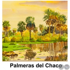 Palmeras del Chaco - Obra de Emili Aparici